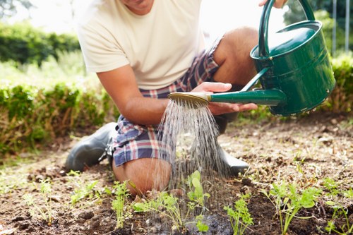 Local stump grinding for a residential or commercial site in Plumstead