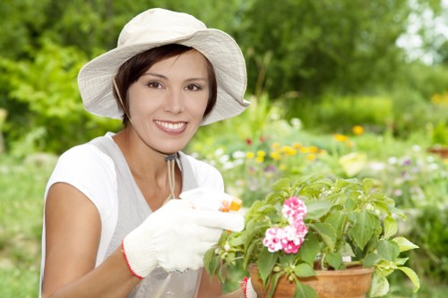 Plumstead tree care specialists working on a landscaped property