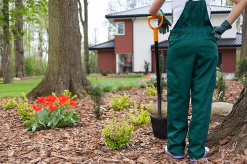 Performance monitoring and site improvement for Tree Surgeons Plumstead